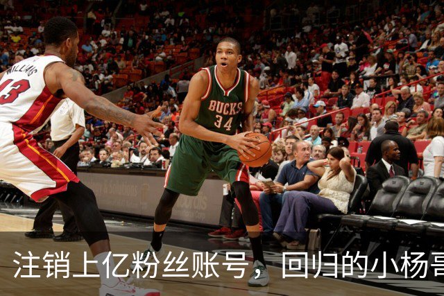 注销上亿粉丝账号，回归的小杨哥目标早已不在国内